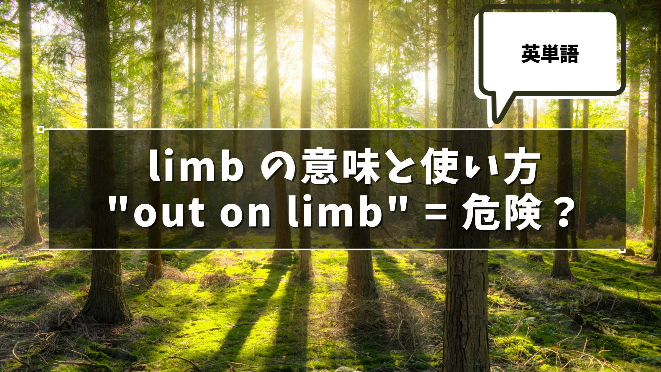 limb の意味と使い方